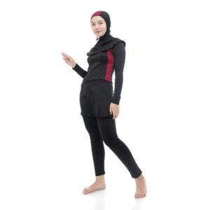 Dolphin-N Series Maroon